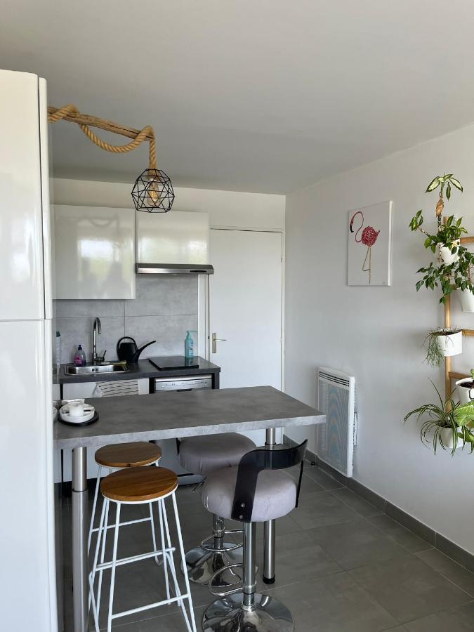 Studio Port Camargues Le Grau-du-Roi Ngoại thất bức ảnh